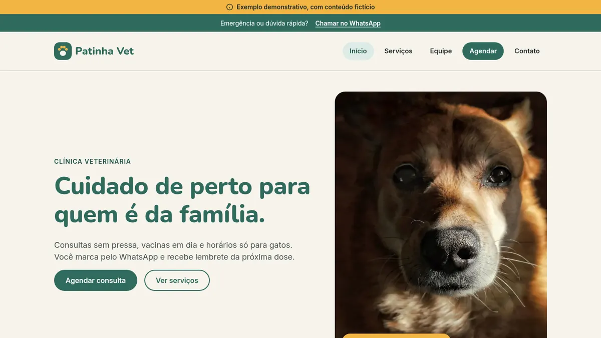Layout Patinha Vet no computador